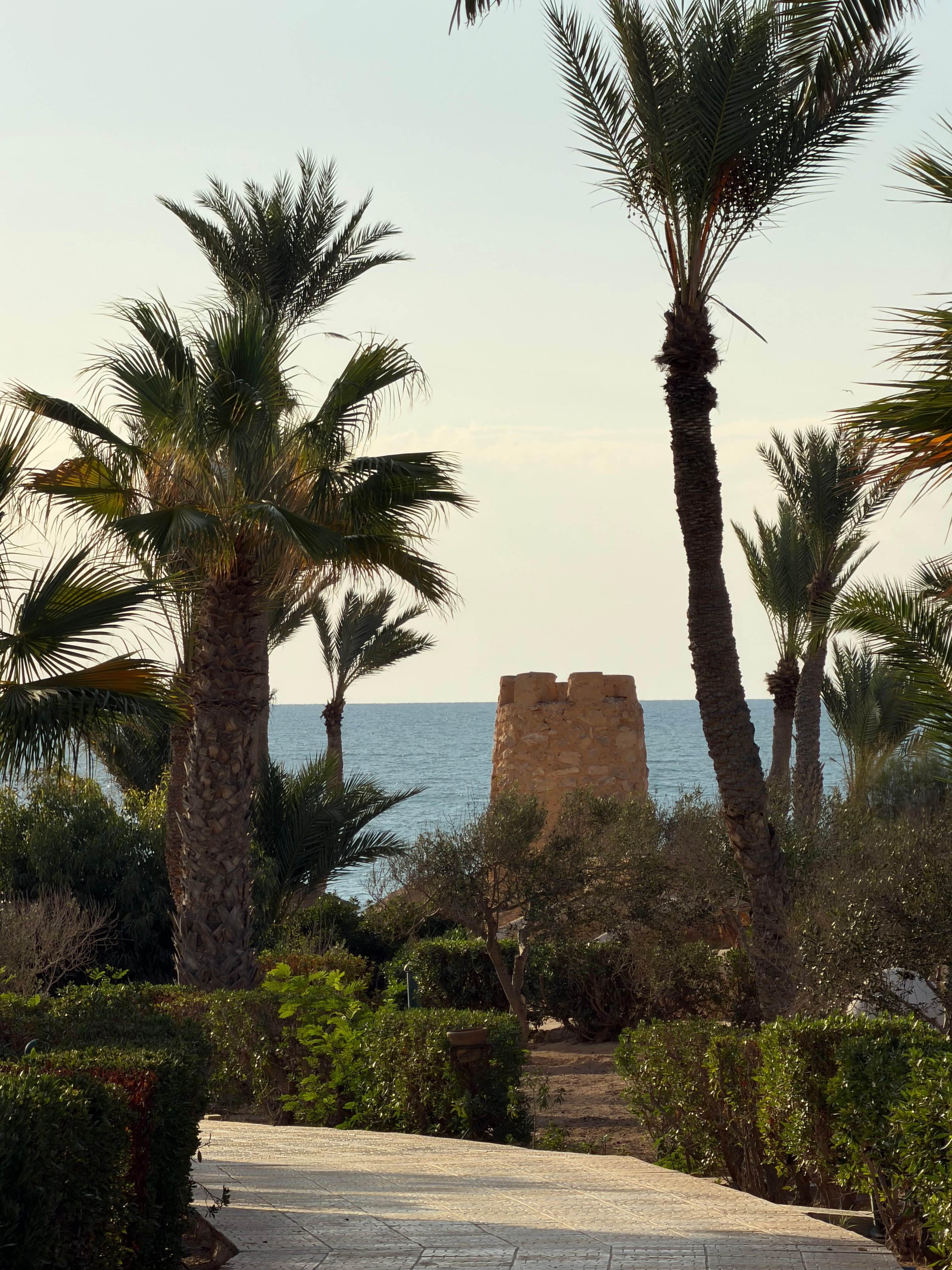 Hotel Djerba Castille-泳池