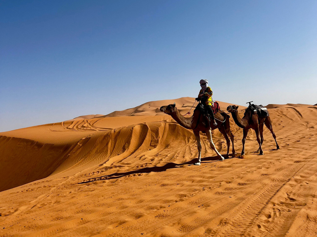 Hotel Nomad Palace主图