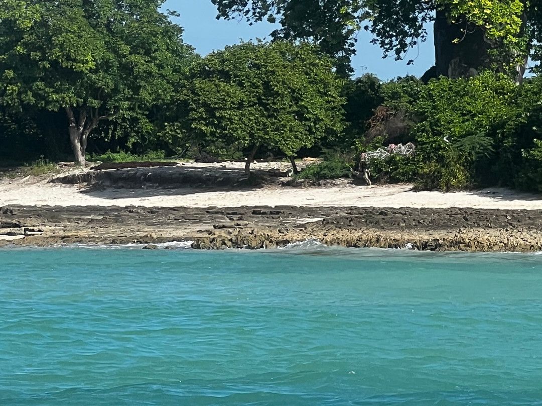 Kolekole Zanzibar Tour And Safaris-Unguja City必去景点