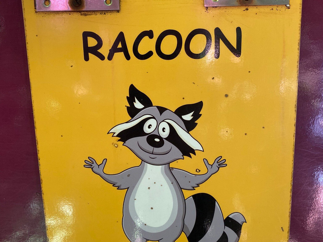 La Maison du Cacao-Pointe-Noire必去景点