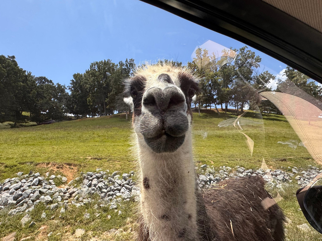 弗吉尼亚游猎公园-天然桥必去景点