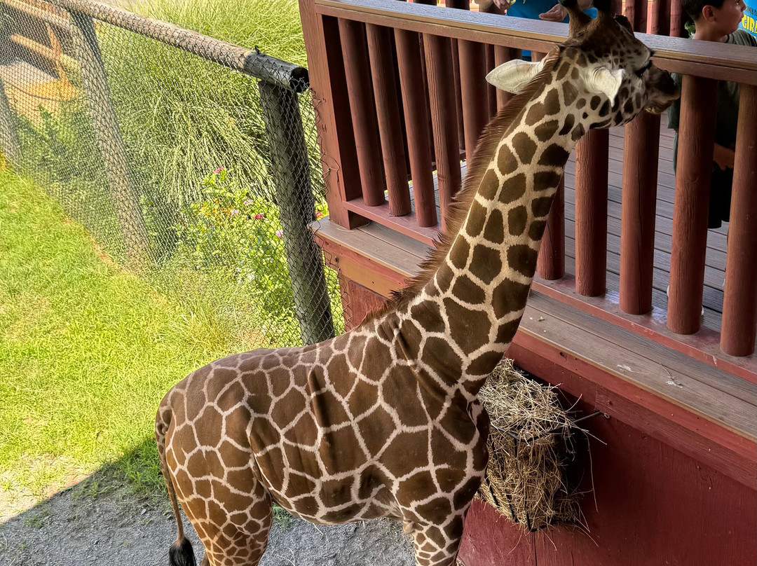 弗吉尼亚游猎公园-天然桥必去景点