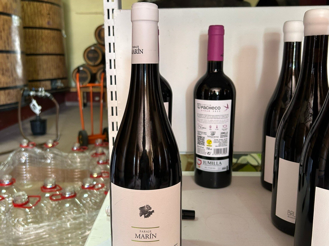 Vina Elena-Jumilla必去景点