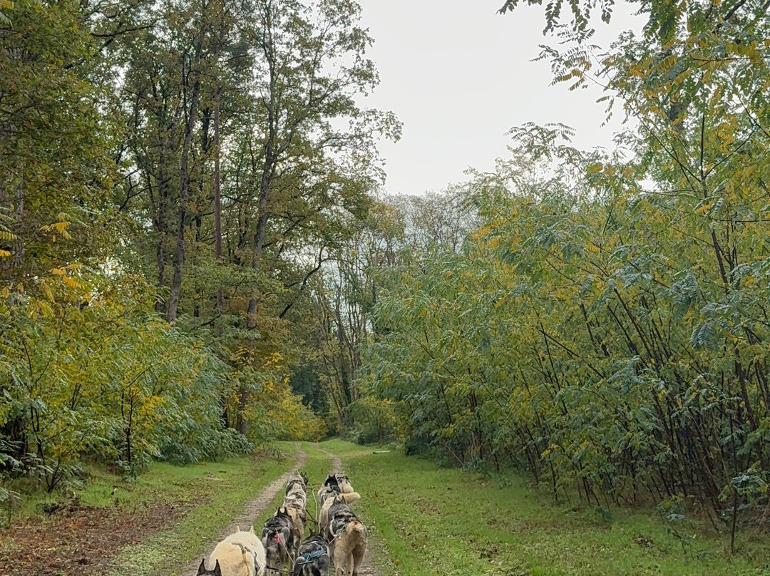 Latitude Nordique-Braslou必去景点