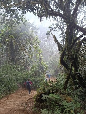 Tanzania Expeditions-阿鲁沙必去景点