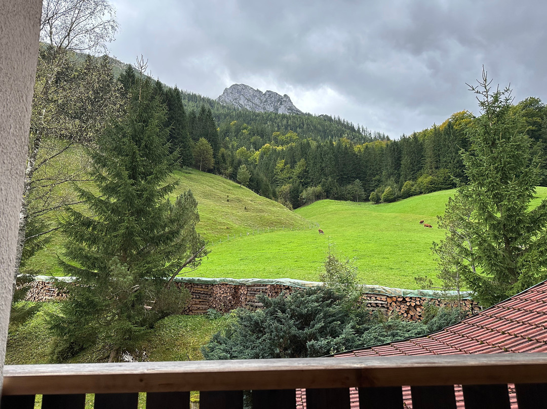 贝斯霍夫阿尔卑斯山酒店主图