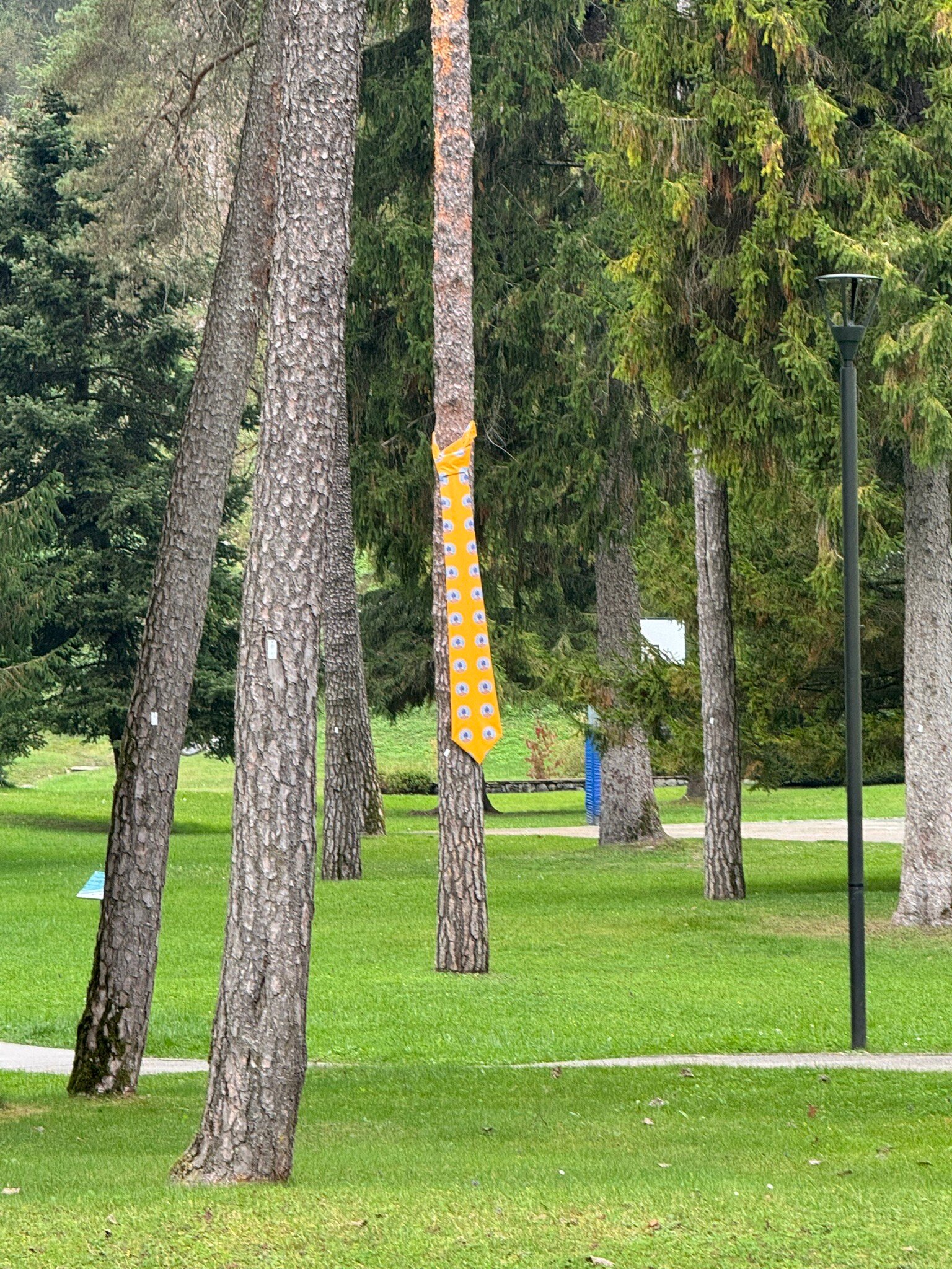 Grand Hotel Terme di Comano-官方