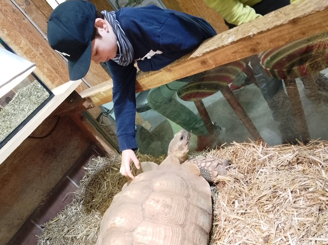 Reptilienzoo Neu-Ulm-新乌尔姆县必去景点