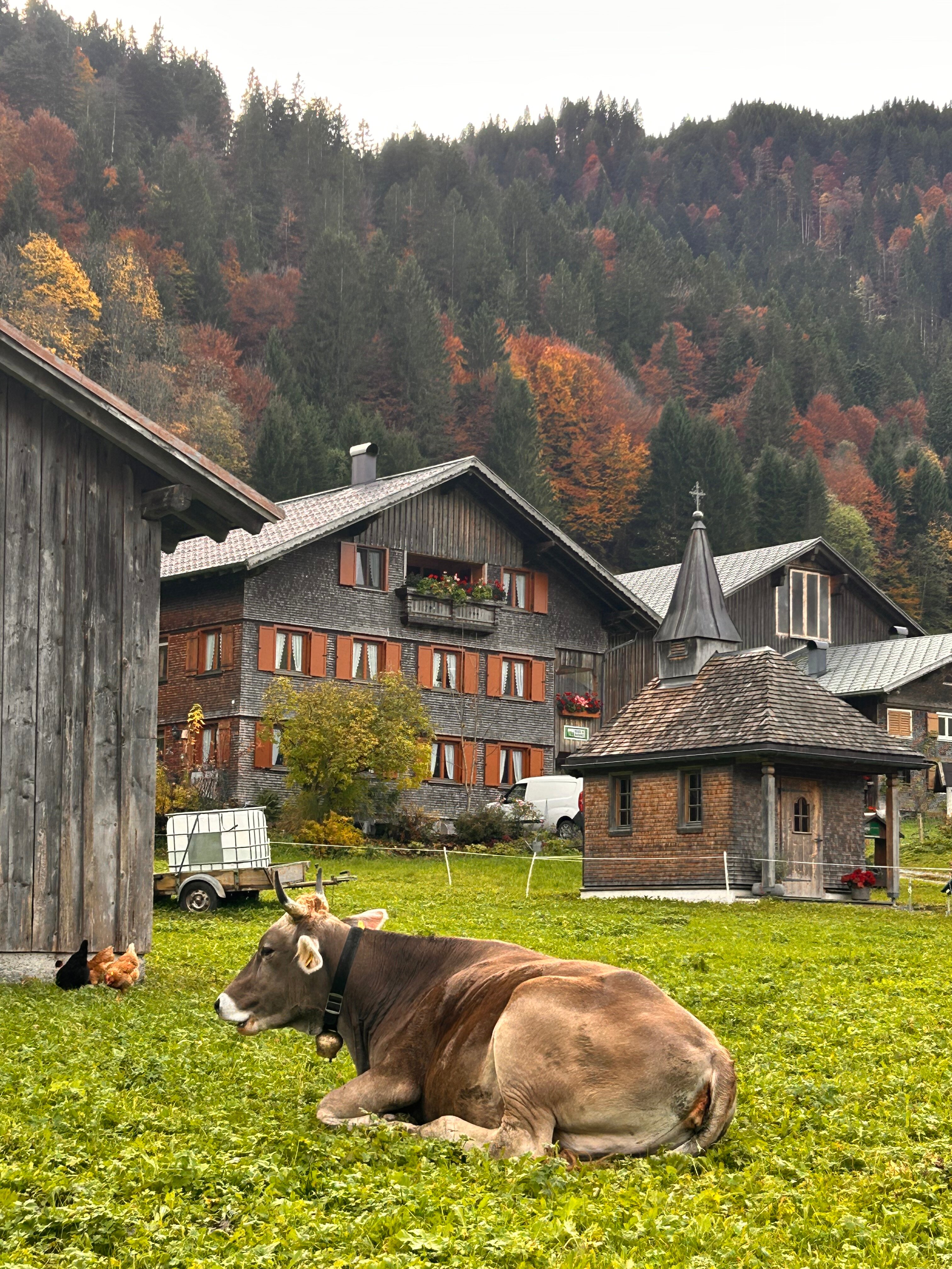 Oberhauser Maria & Markus-官方