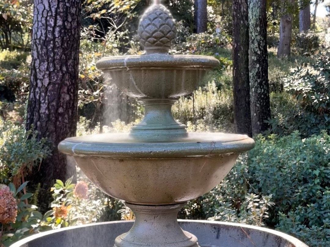 WRAL Azalea Garden-罗利必去景点