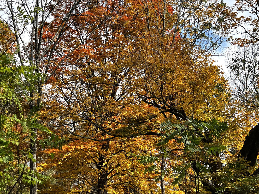 Harriman State Park-Bear Mountain必去景点