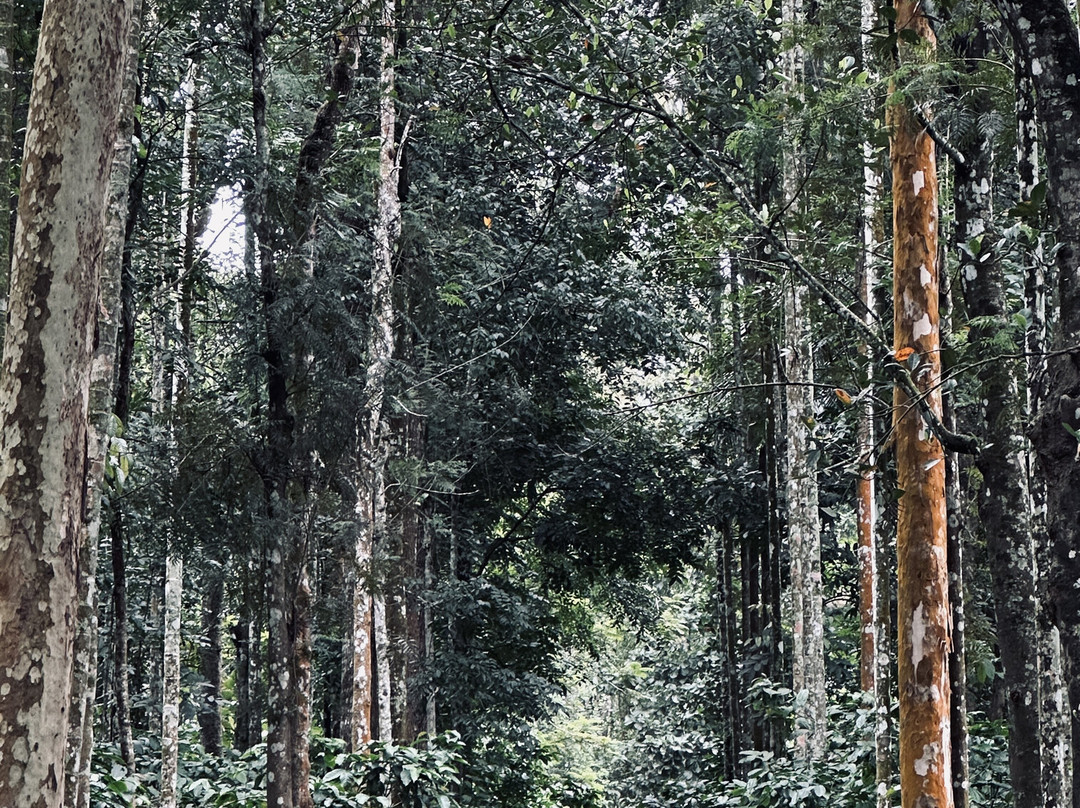 Enteveedu Homestay主图