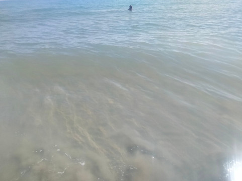 Pineto Beach Camping & Village主图