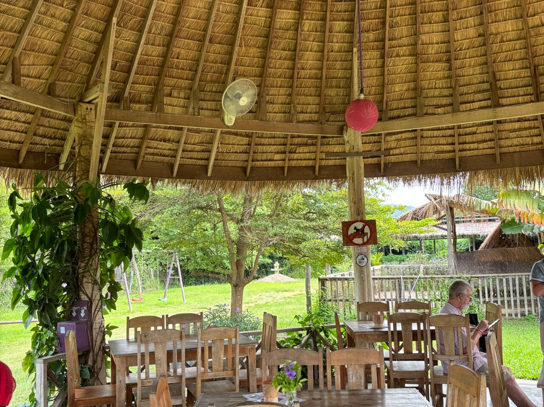 Laos Buffalo Dairy-琅勃拉邦必去景点