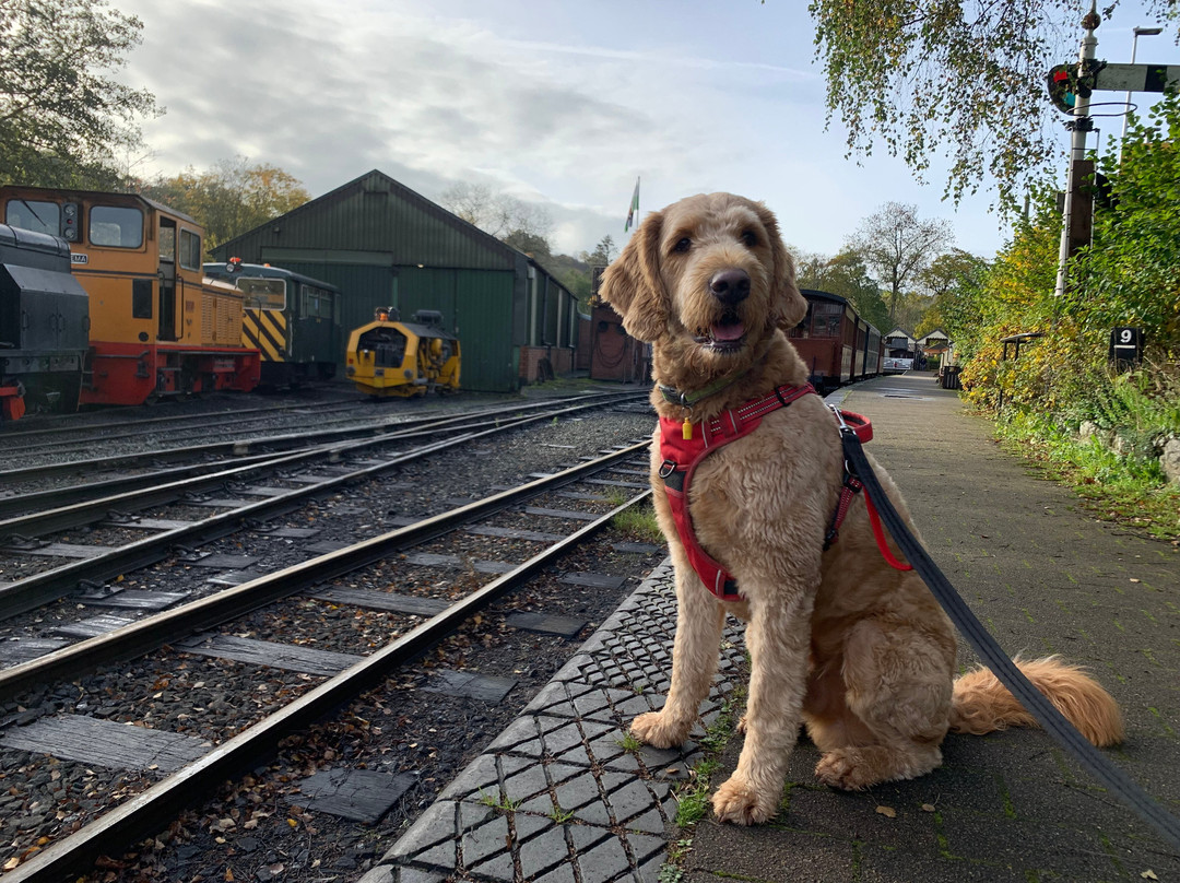 Welshpool and Llanfair Light Railway-Welshpool必去景点