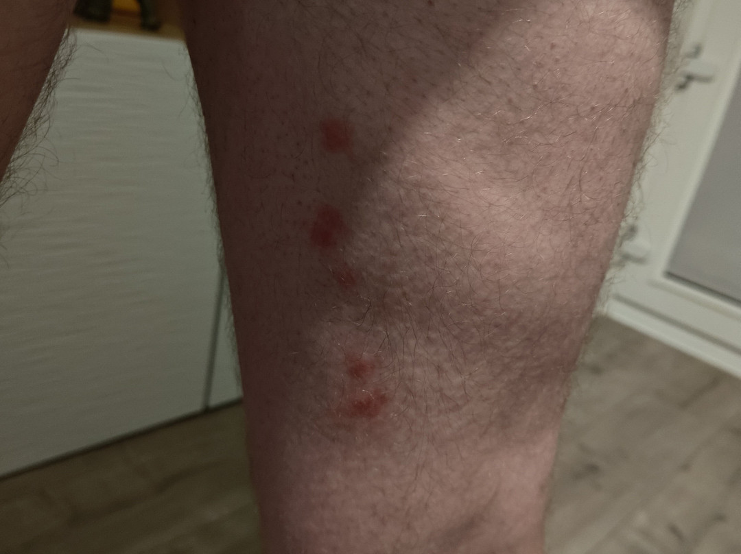 Premier Inn Doncaster Central主图