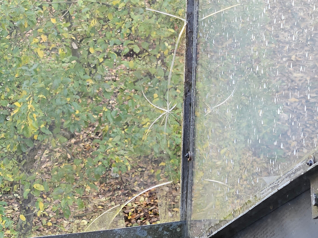 Mühle am Schlossberg主图