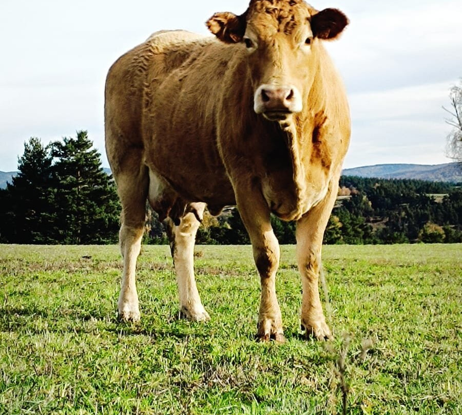 Cascade du Deroc-Nasbinals必去景点