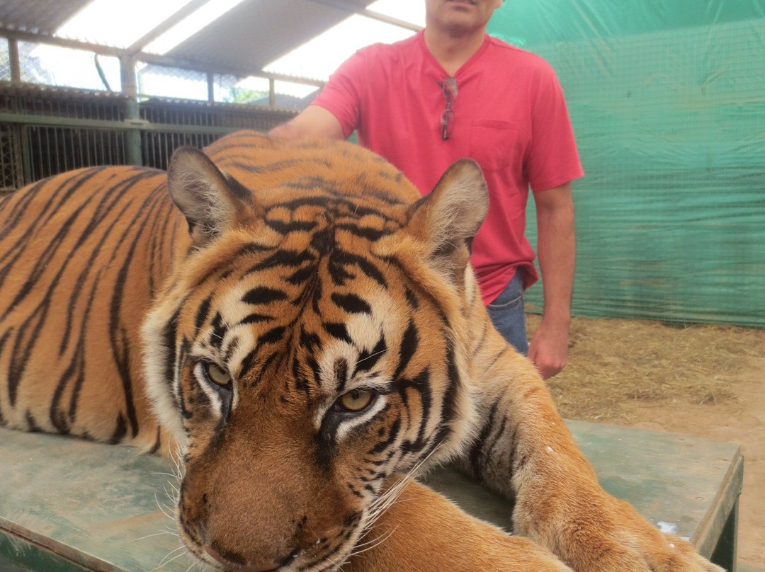 ZOO Lujan-Lujan必去景点