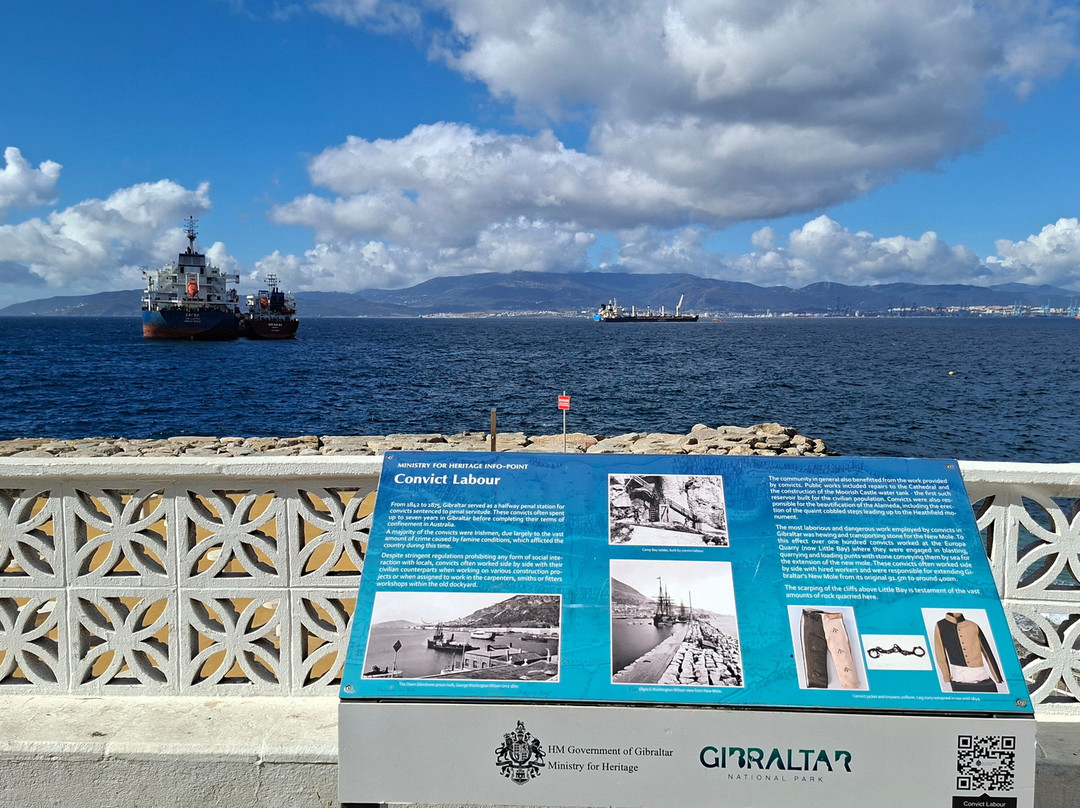 Diving With Nic-米哈斯必去景点