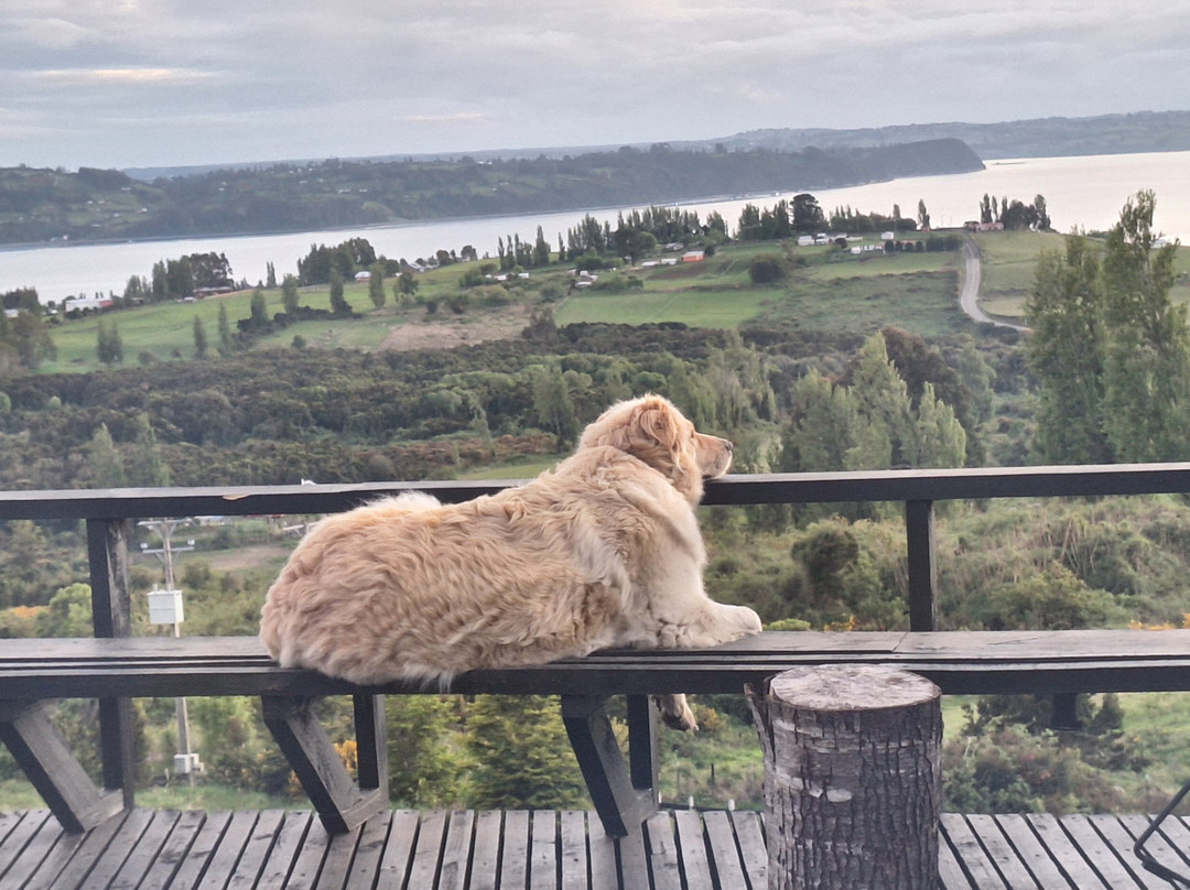 Hotel & Cava Estancia Rilán By Elohi Collection主图