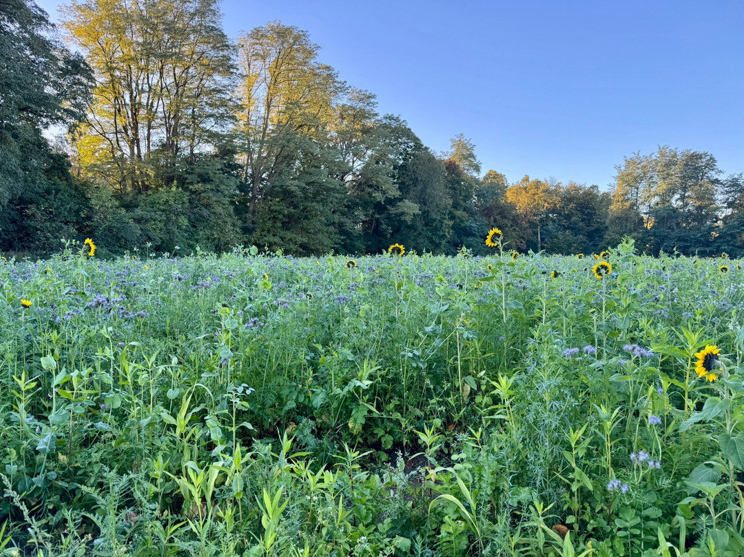 厄格特兰德宫环形酒店主图