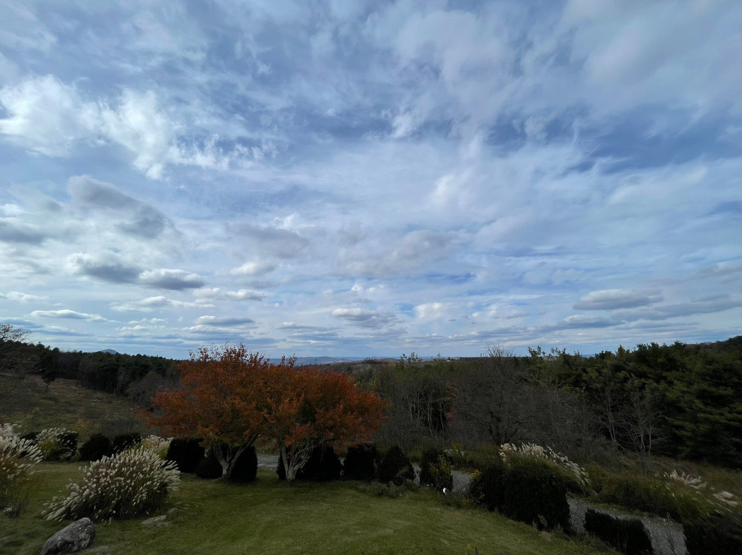 Chateau Morrisette Winery-Floyd必去景点