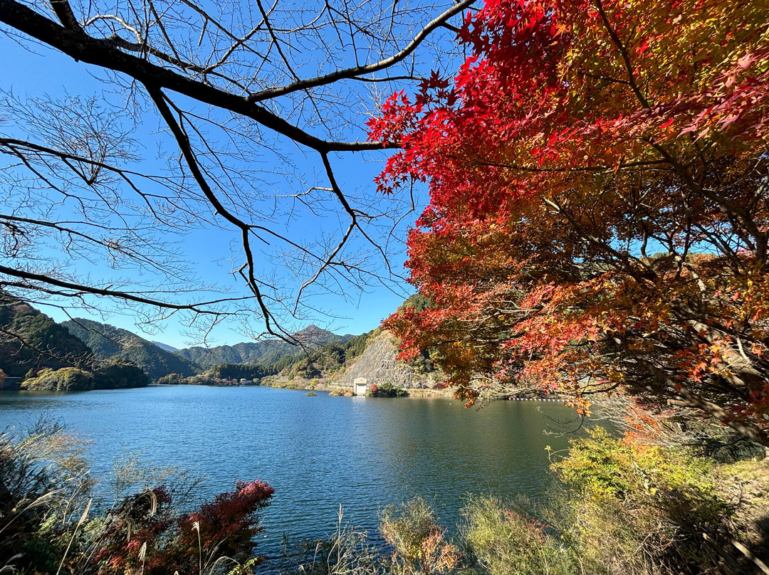 Lake Shakujoko-津市必去景点