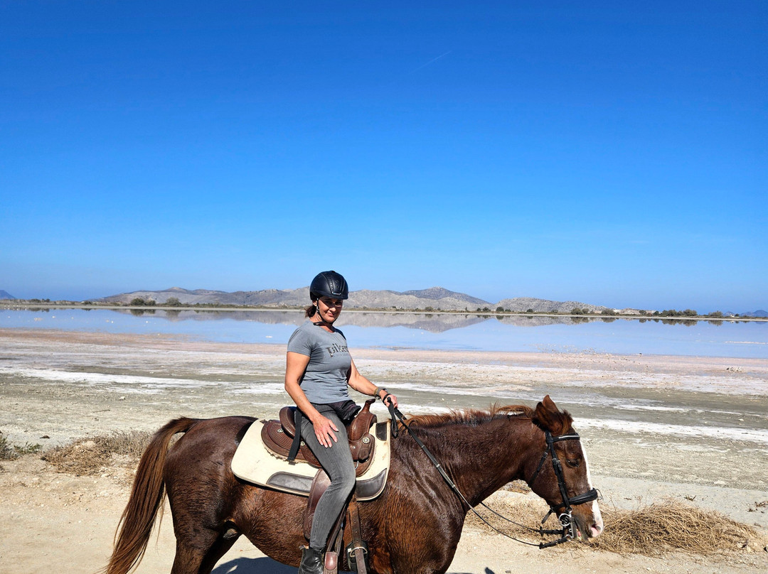 Salt Lake Stables-Marmari必去景点