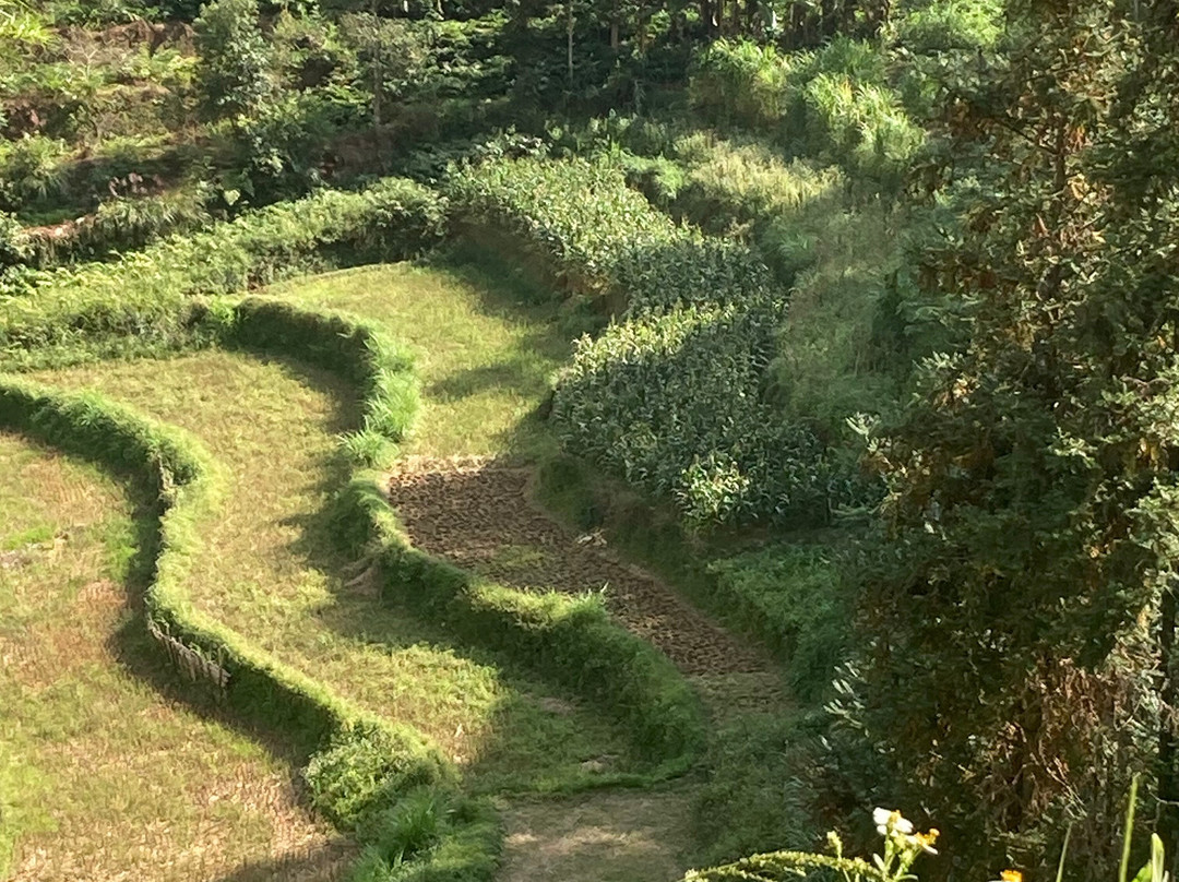 Aventure Vietnam Travel-河内必去景点