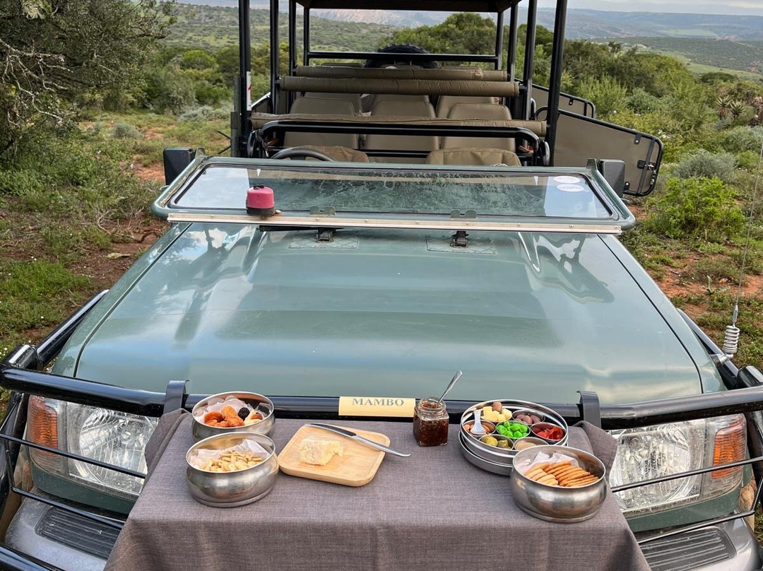 Unpaved Africa by SL-Green Point必去景点