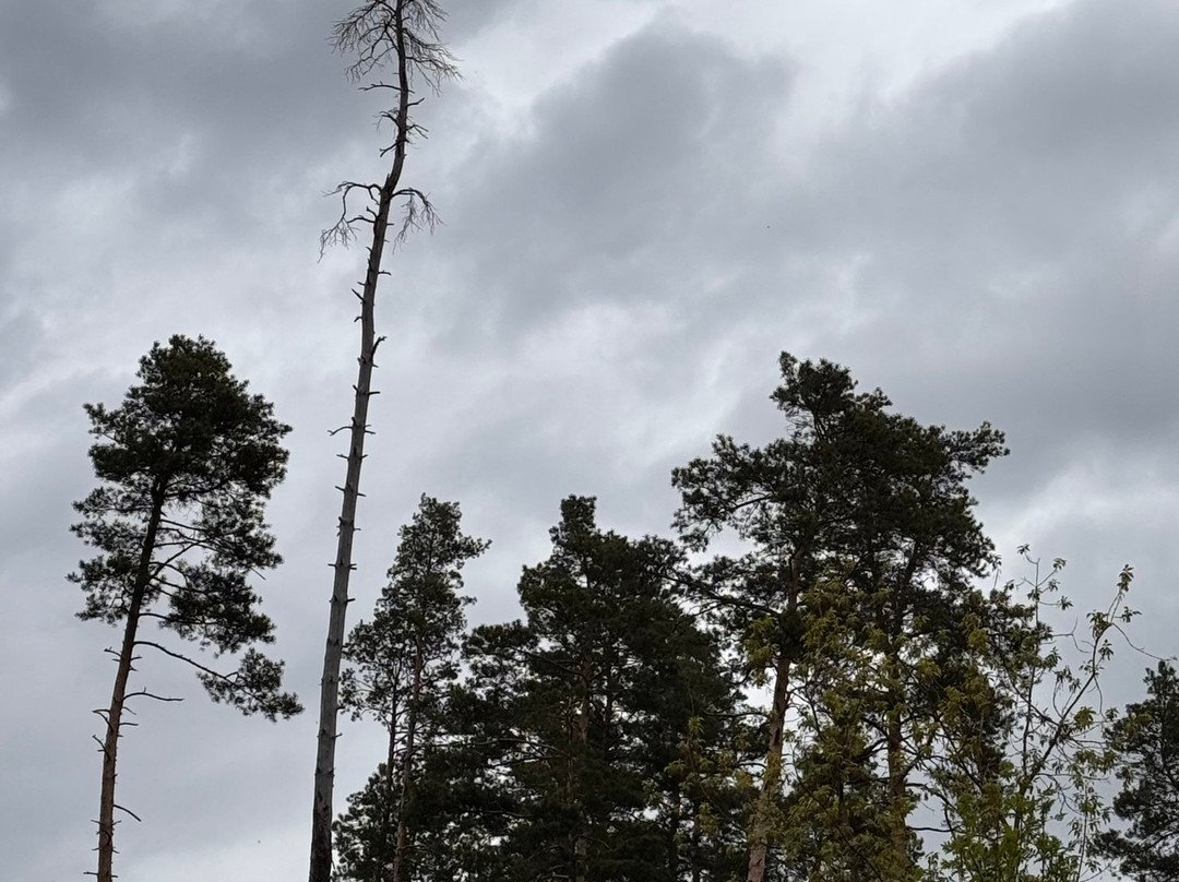 Gorenskiy Lesopark-Balashikha必去景点