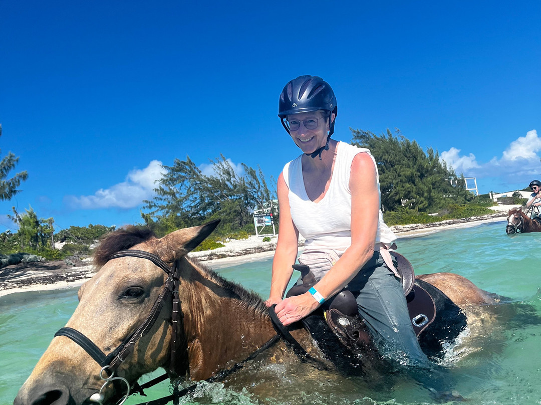 Provo Ponies-Long Bay Hills必去景点