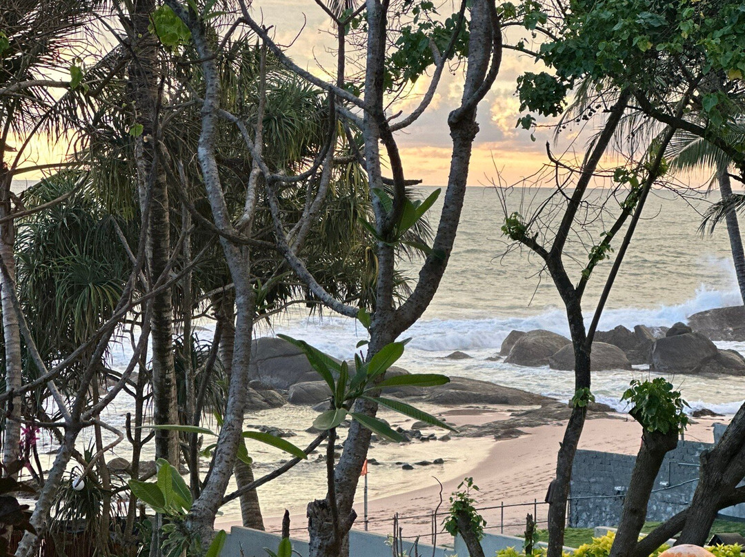 Ayurveda Garden主图