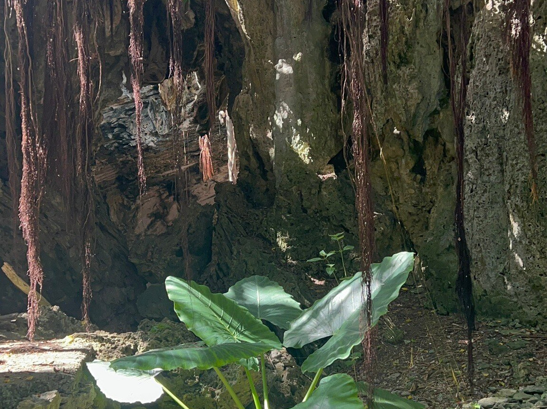 Caverne Patate-罗德里格斯岛必去景点