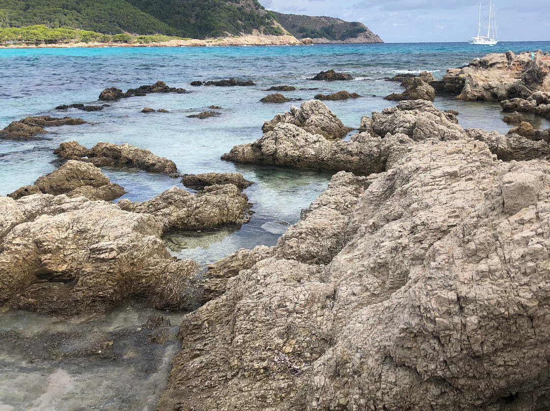 Cala Agulla-Cala Ratjada必去景点