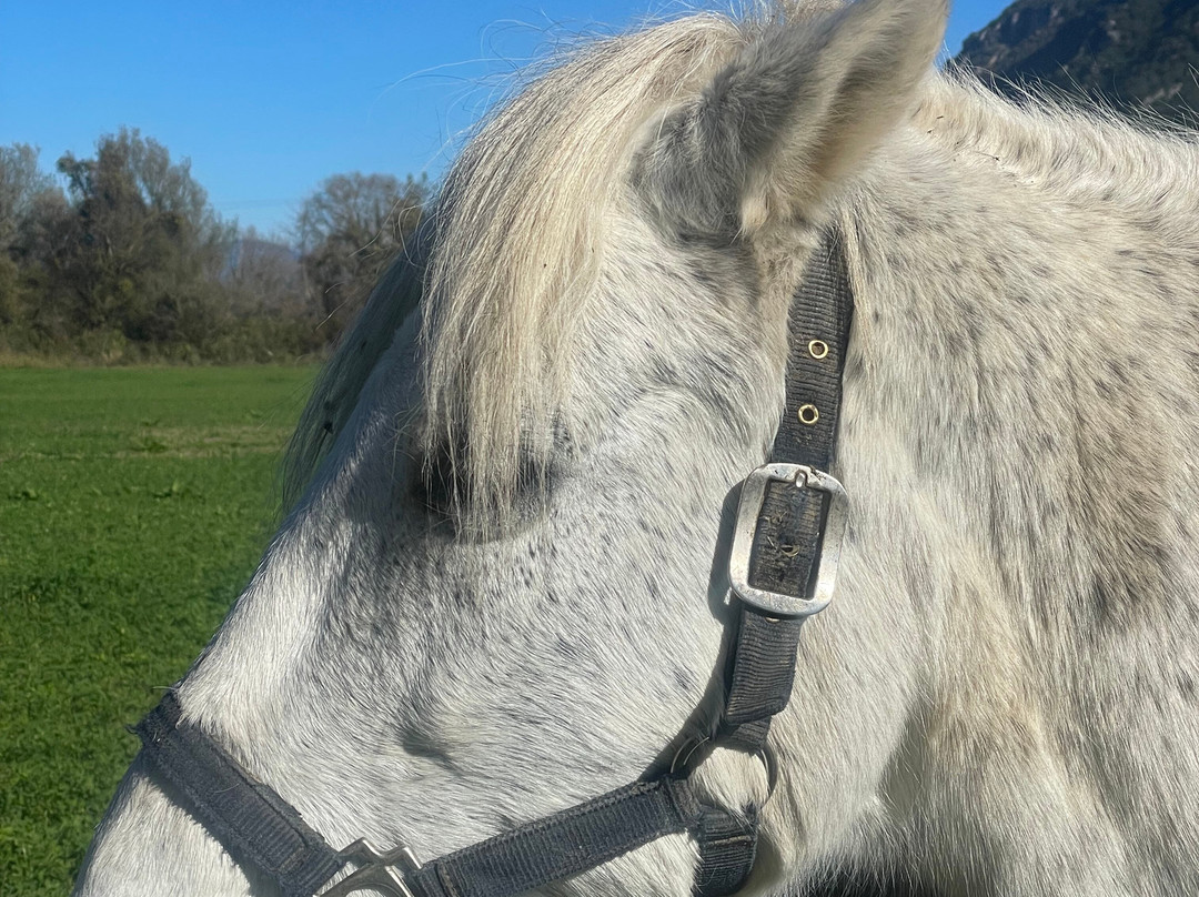 Via Natura-Kleidonia必去景点