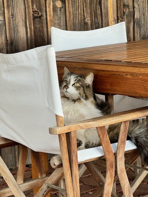 Charles Melton Wines-塔努达必去景点