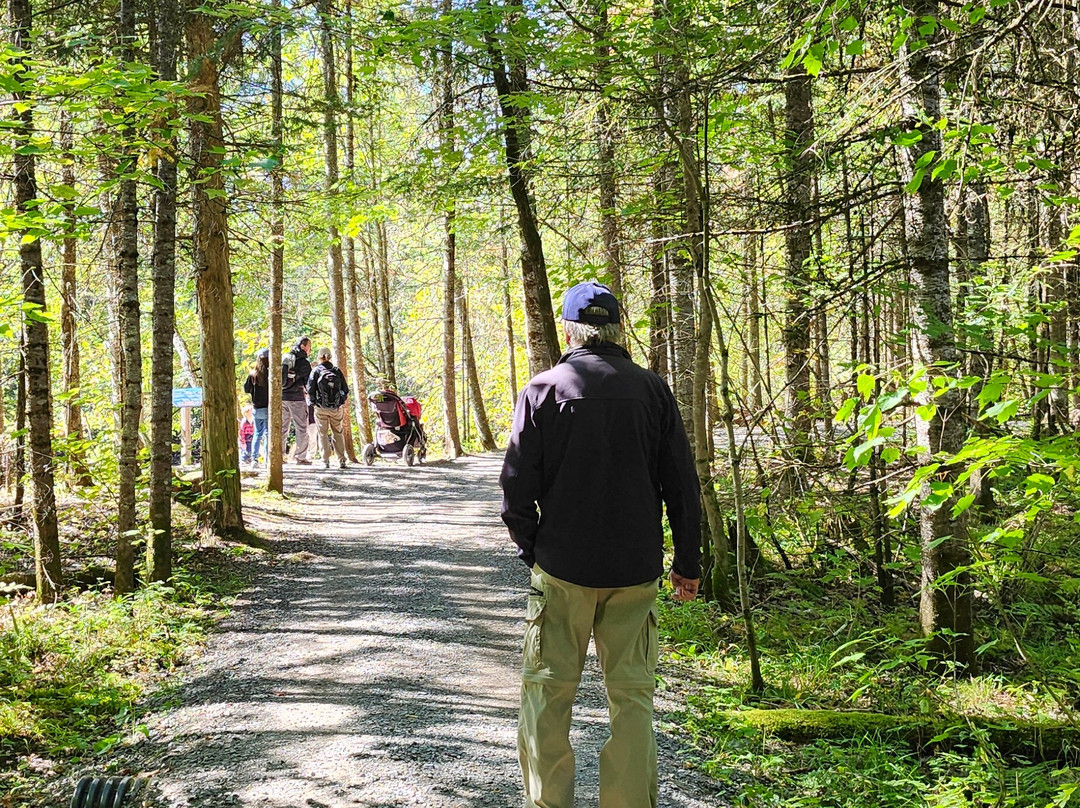 Les Marais du Nord-Stoneham-et-Tewkesbury必去景点