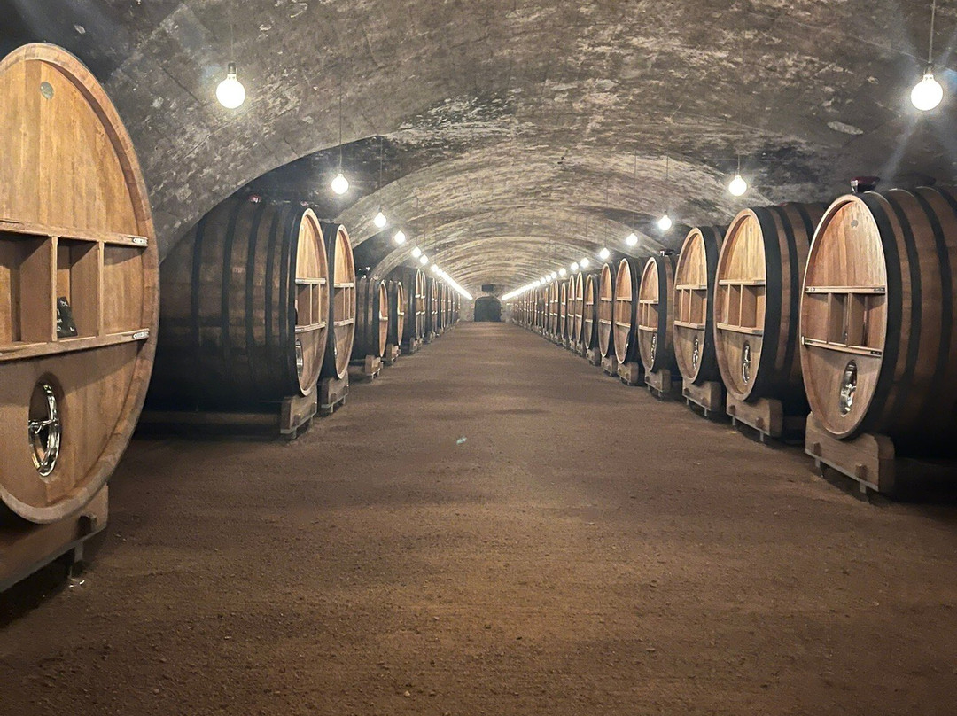 Chateau de La Chaize-Odenas必去景点