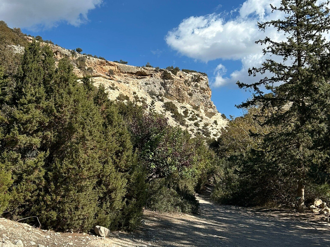 Petrides Rentals-Latchi必去景点