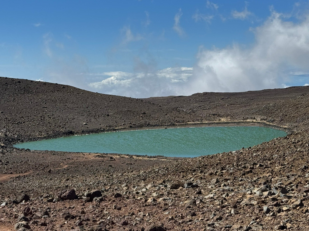 老夏威夷家庭式酒店主图
