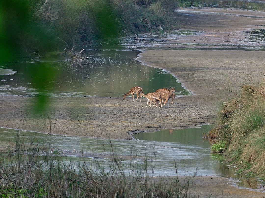 Adventure Safari & Trek-Thakurdwara必去景点