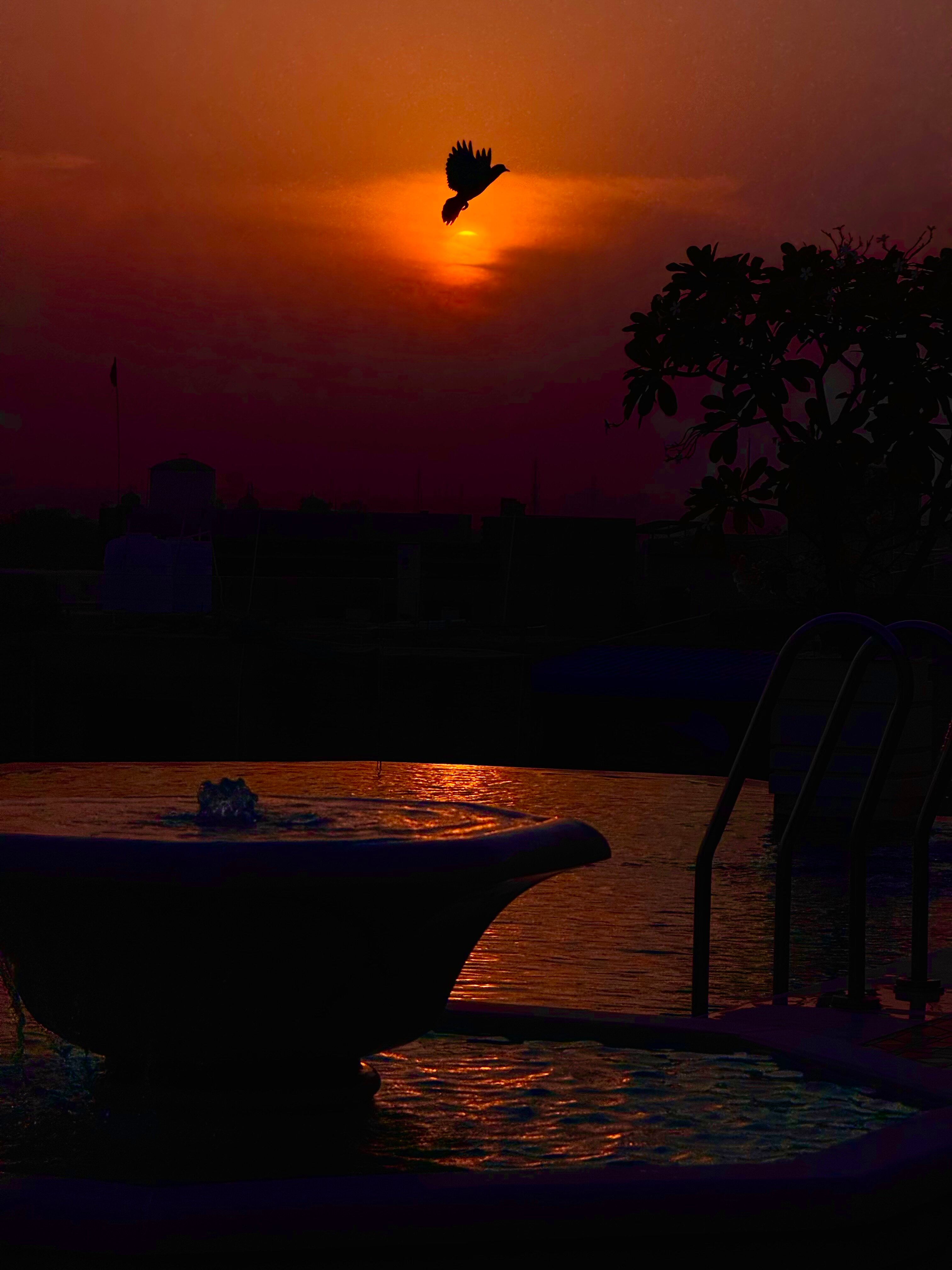 Narendra Bhawan Bikaner-浴室