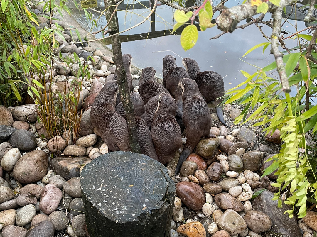 Five Sisters Zoo-West Calder必去景点