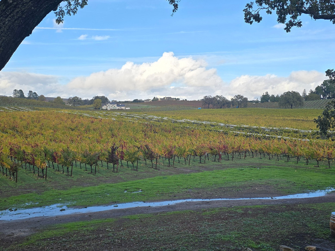 Summerwood Winery & Inn主图