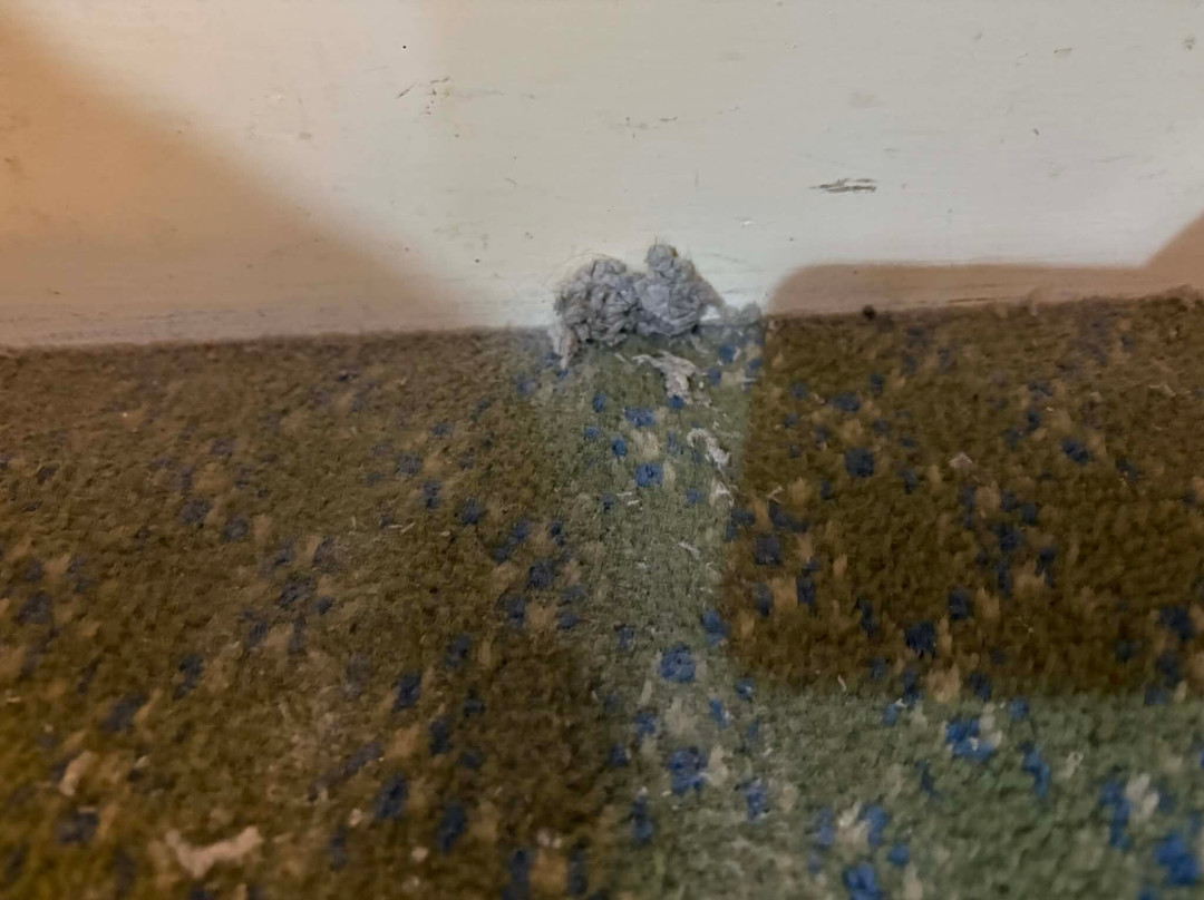 巴灵顿旅店主图