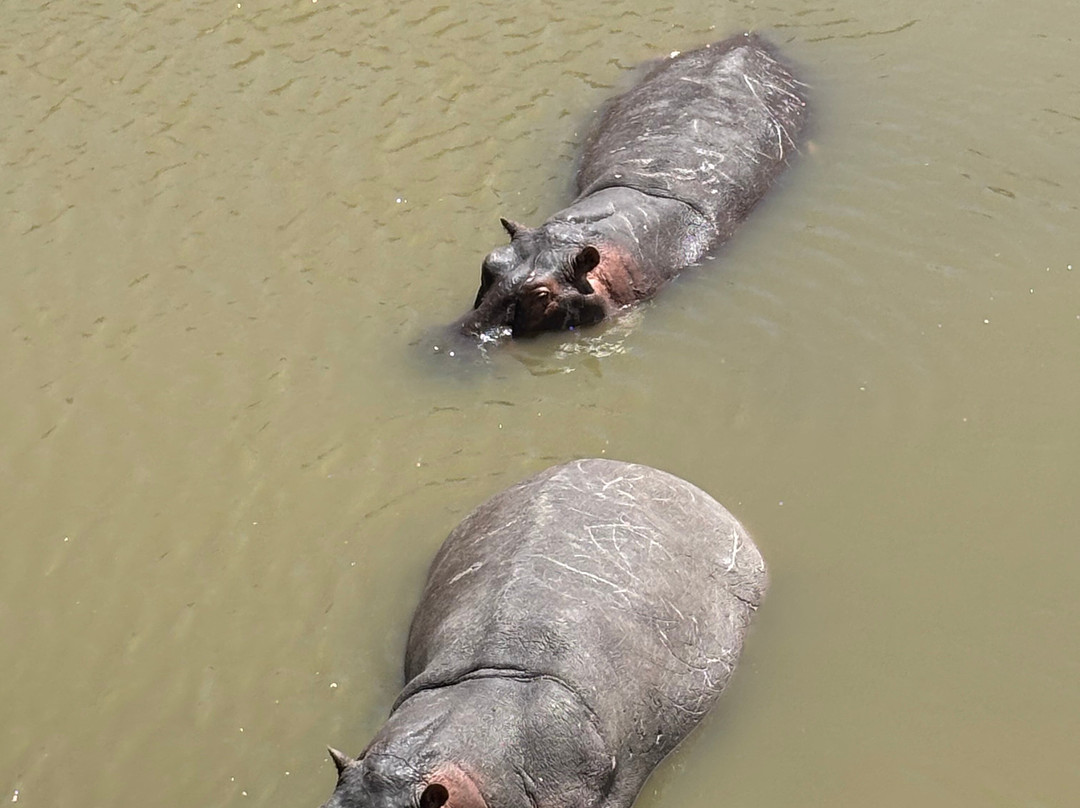 Safari Kenya Plus - Private Day Tour-马林地必去景点