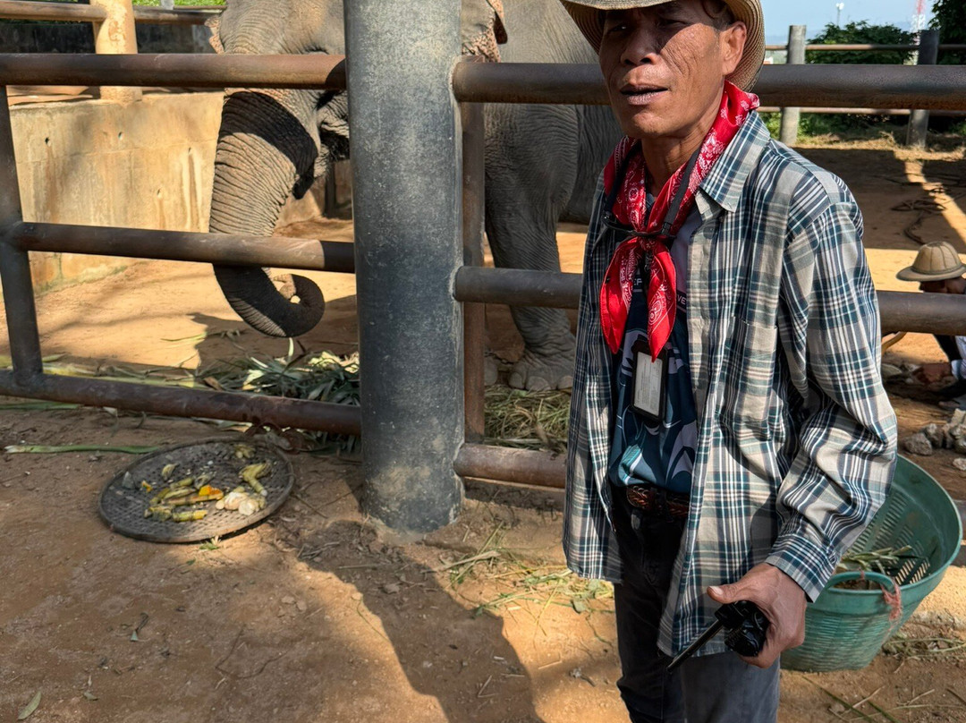 Phuket Elephant Nature Reserve-他朗必去景点