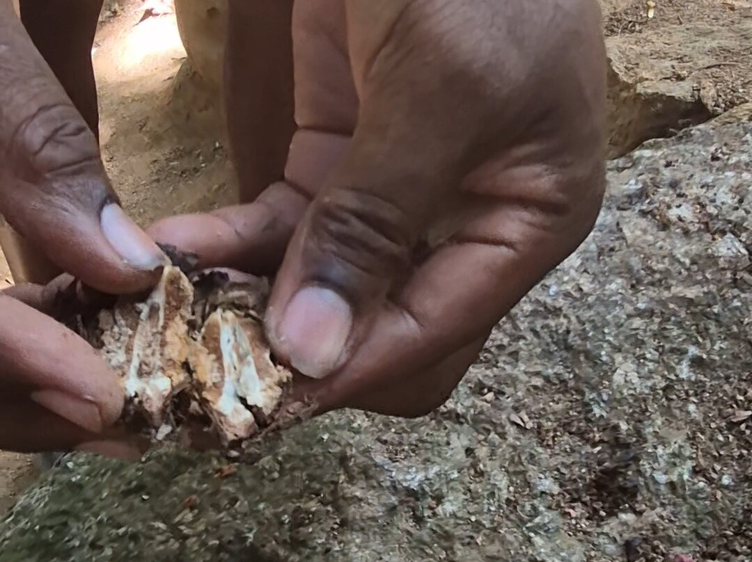 Dave's  Tour-普拉兰岛必去景点